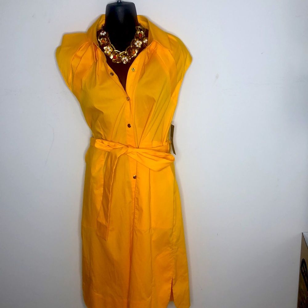 Cute yellow belted dress! Another one of my favorite things that I never wore.